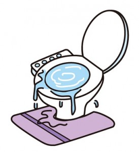 が 詰まっ た 時 トイレ 尿取りパッドをトイレに流して詰まった時の修理や対処法