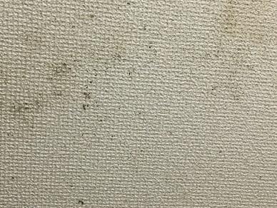 壁のカビ取り方法で画期的な物は 掃除にエタノールは 防止は