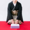【経験談】結婚内祝いは1/3のお返しが相場で喜ばれるのはカタログギフト
